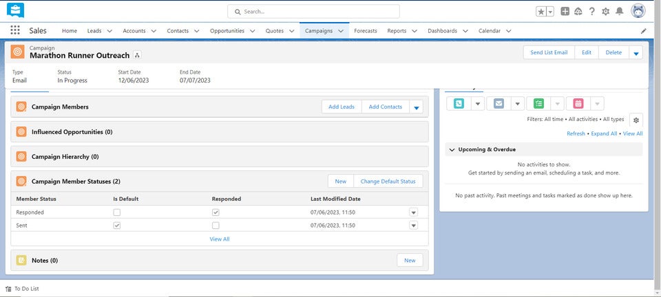 Salesforce Campaign Interface