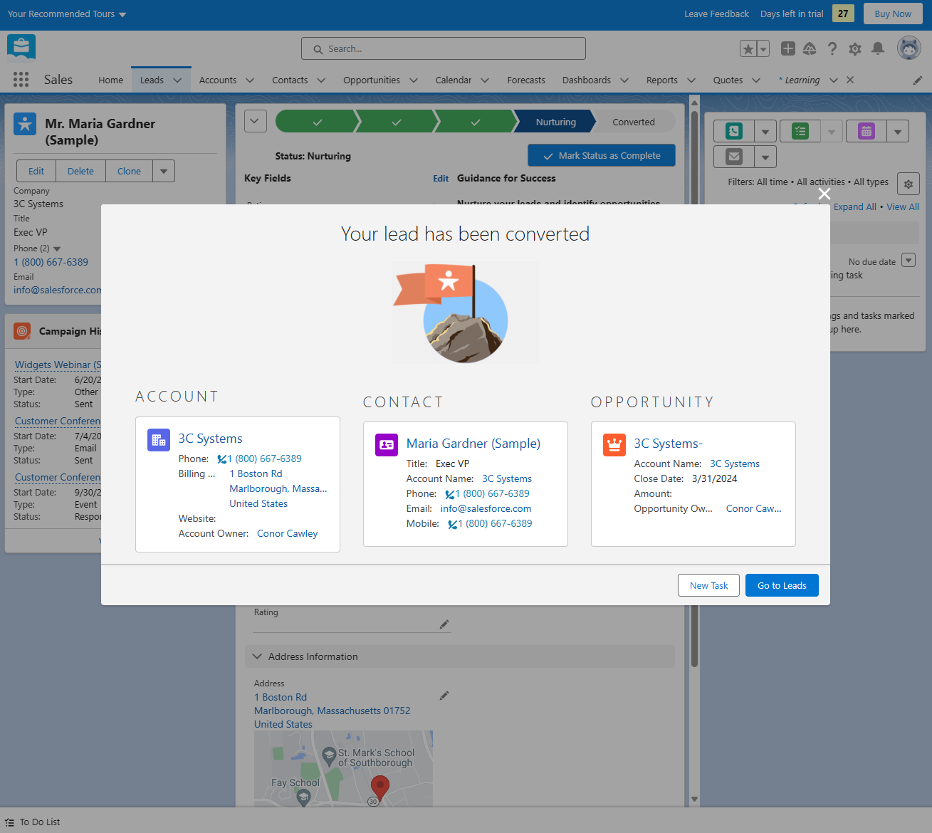 Salesforce Lead Converted (March 2024)